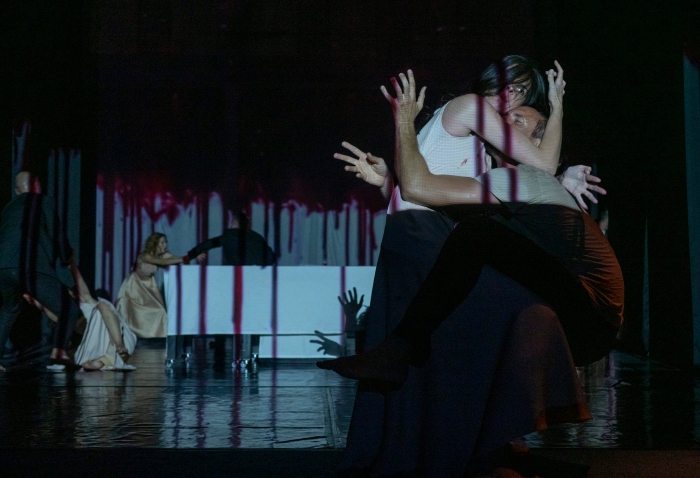 Magbet Dragana Udovičić